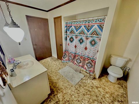 Tiny photo for 718 Karbers Ridge Road, Elizabethtown, IL 62931 (MLS # EB460367)