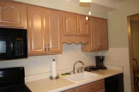 Tiny photo for 245 S Park Lane #122, Palatine, IL 60074 (MLS # 12455558)