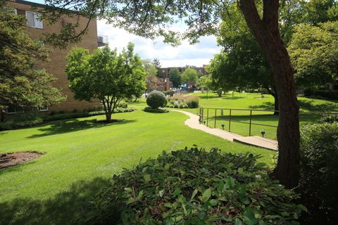 Tiny photo for 245 S Park Lane #122, Palatine, IL 60074 (MLS # 12455558)