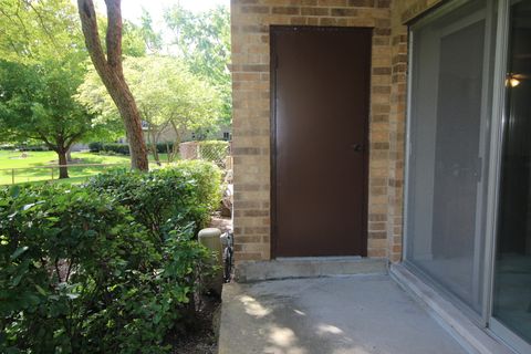 Tiny photo for 245 S Park Lane #122, Palatine, IL 60074 (MLS # 12455558)