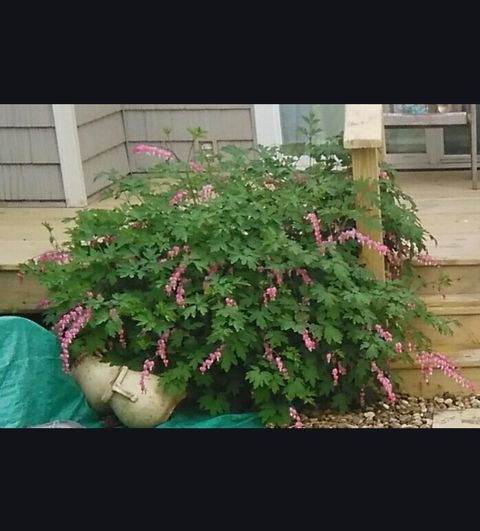 Tiny photo for 1928 Blackthorn Drive #1, Champaign, IL 61821 (MLS # 12521534)