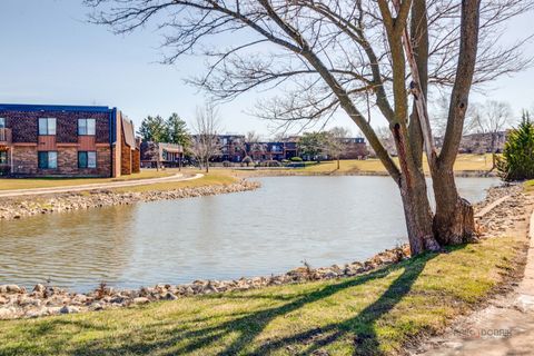 Tiny photo for 615 Tralee Court #1C, Schaumburg, IL 60193 (MLS # 12600019)