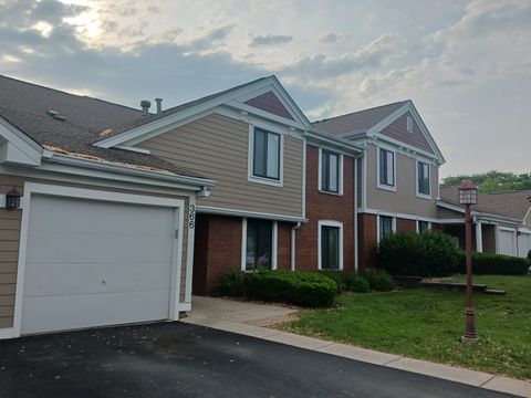 366 Pinetree Lane B1 Schaumburg IL 60193
