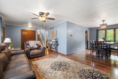 Tiny photo for 900 Carol Lane, Crete, IL 60417 (MLS # 12646781)