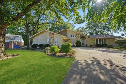 Photo of 9047 W Oak Crest Court, Palos Hills, IL 60465 (MLS # 12488410)