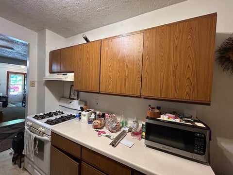 Tiny photo for 244 W Homer Street, Freeport, IL 61032 (MLS # 12699799)