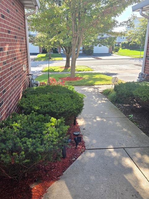 Tiny photo for 916 Berry Path Trail, Matteson, IL 60443 (MLS # 12740418)