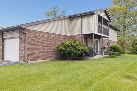 Photo of 417 Manor Court #B, New Lenox, IL 60451 (MLS # 12646970)