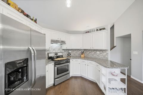 Tiny photo for 12154 Pear Tree Way, Plainfield, IL 60585 (MLS # 12485141)