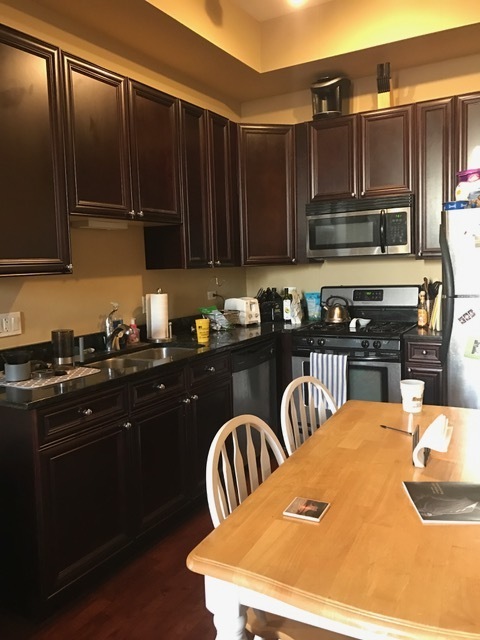 1464 S Michigan Avenue 1607