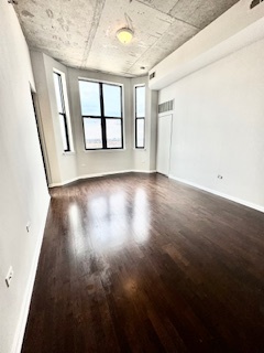 1464 S Michigan Avenue 1607