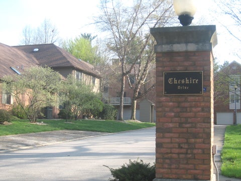 Tiny photo for 917 A CHESHIRE Drive #A, Champaign, IL 61821 (MLS # 12747494)