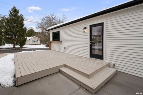 Tiny photo for 905 WISCONSIN Street, Le Claire, IA 52753 (MLS # QC4269921)