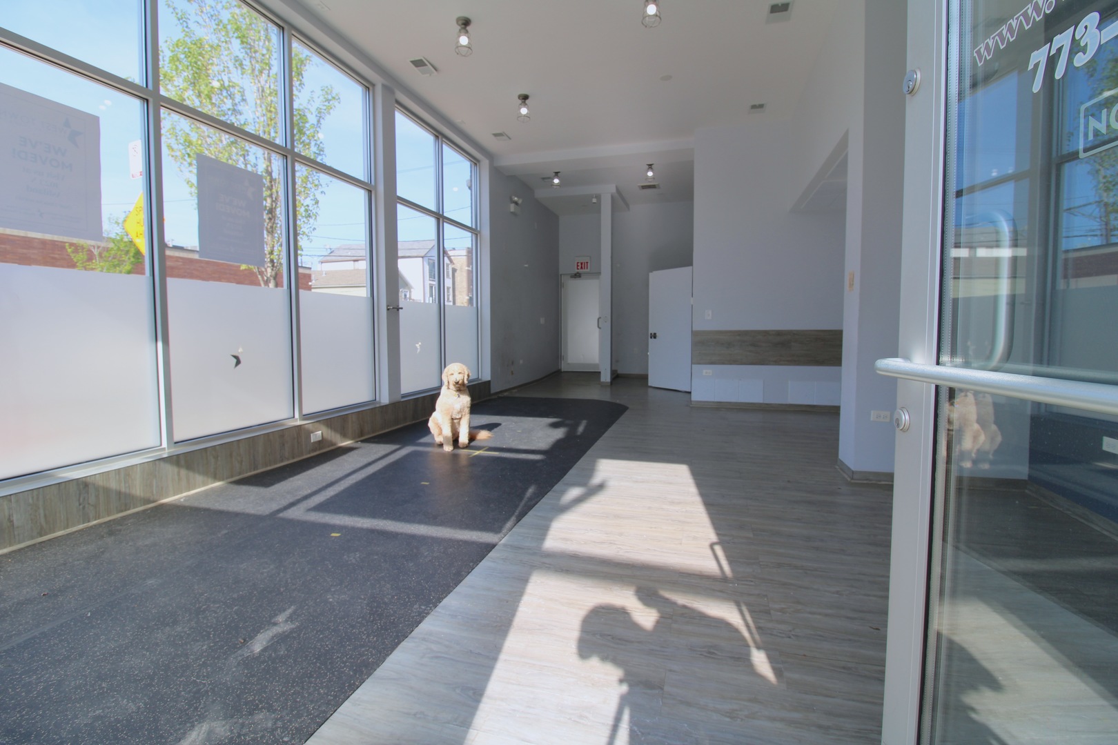 859 N Ashland Avenue Commercial