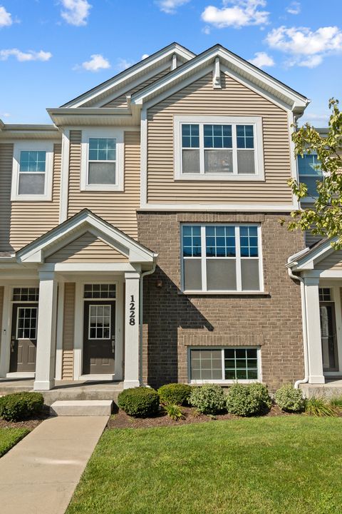 1228 Elm Street Park Ridge IL 60068