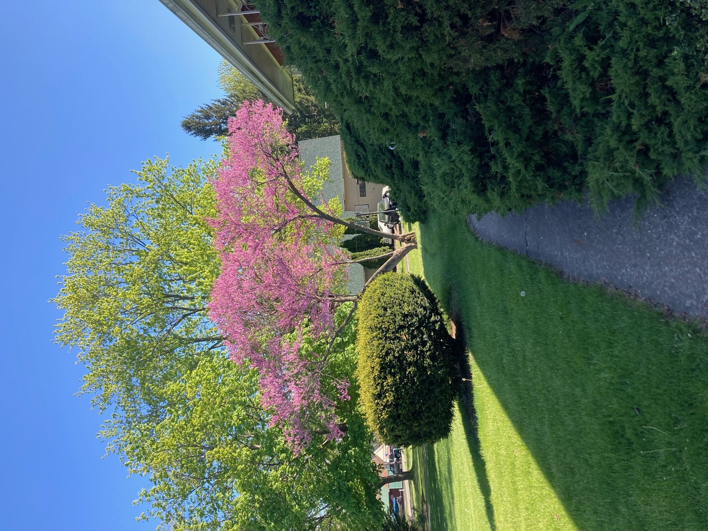 515 Country Club Drive
