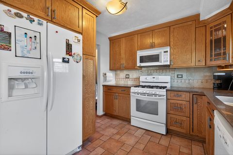 Tiny photo for 805 Addleman Street, Joliet, IL 60431 (MLS # 12562920)