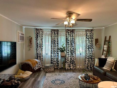 Tiny photo for 718 17TH Avenue N, Clinton, IA 52732 (MLS # QC4267145)