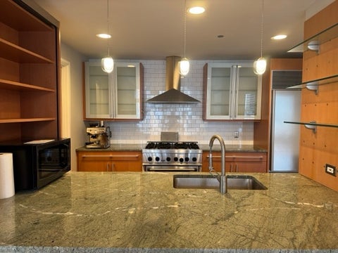Tiny photo for 445 E North Water Street #1004, Chicago, IL 60611 (MLS # 12774036)
