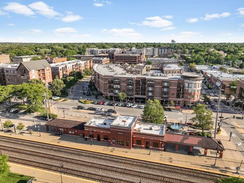 Tiny photo for 841 Rogers Street, Downers Grove, IL 60515 (MLS # 12468153)