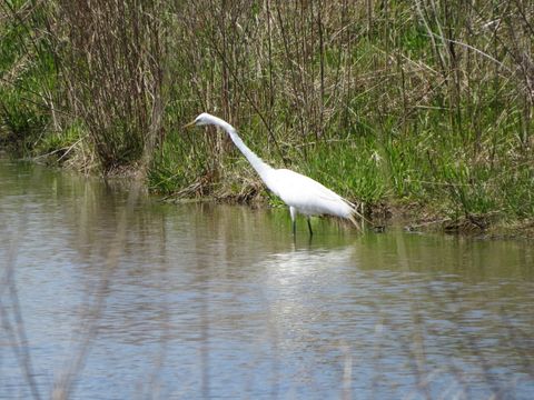 Tiny photo for 2258 Clearbrook Court, Wauconda, IL 60084 (MLS # 12579900)