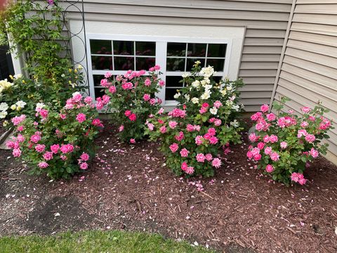 Tiny photo for 2258 Clearbrook Court, Wauconda, IL 60084 (MLS # 12579900)