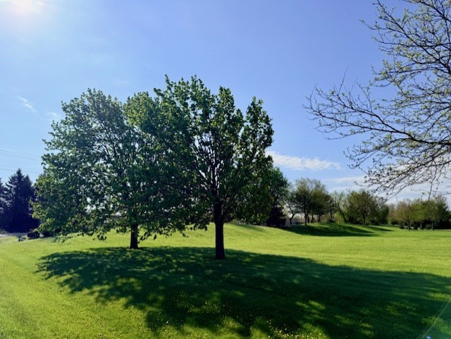 4702 Patty Lane