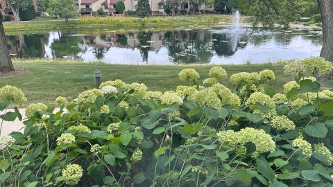 Tiny photo for 12 Kent Court, Willowbrook, IL 60527 (MLS # 12686679)