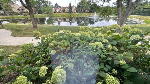 Tiny photo for 12 Kent Court, Willowbrook, IL 60527 (MLS # 12686679)