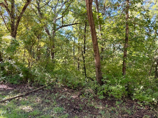 809 MISSOURI DR, DIXON, IL 61021 - Image cf8ccb537eafee58bc43f0e58694d3aa/2162600788