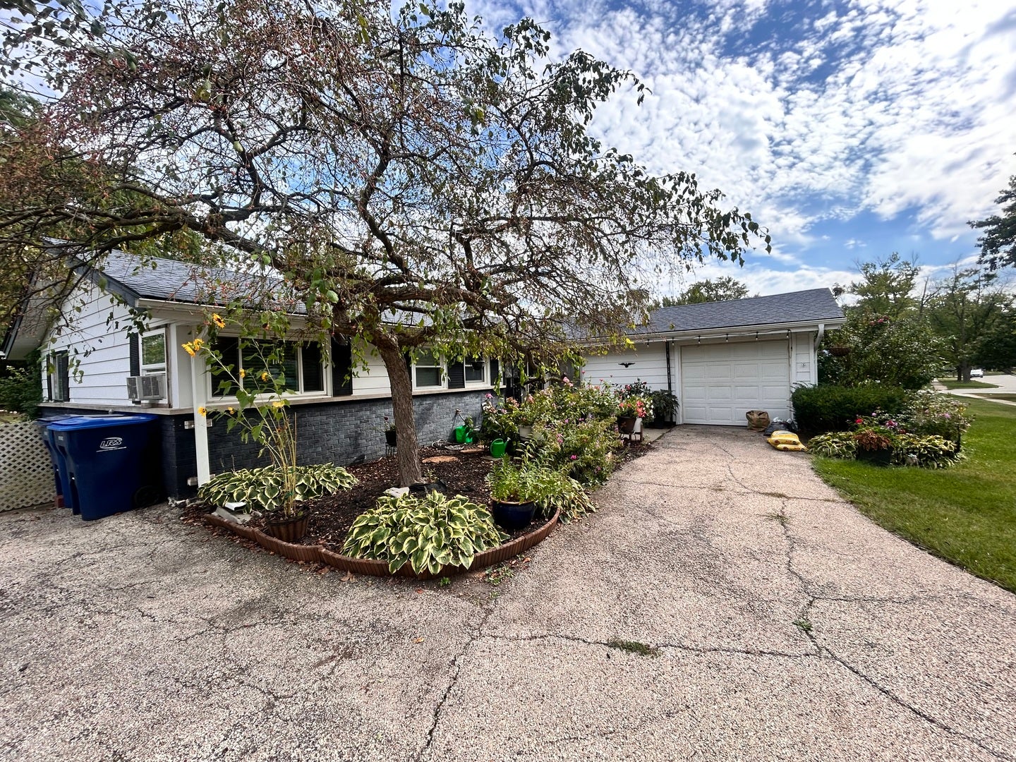 227 Wellesley Lane