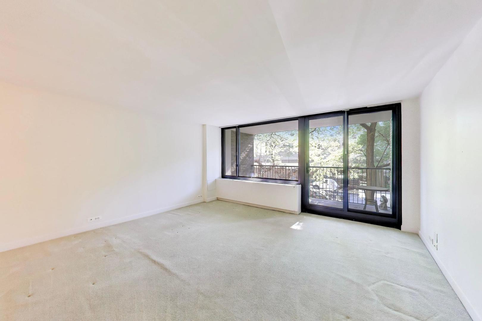 1555 N Sandburg Terrace 206K