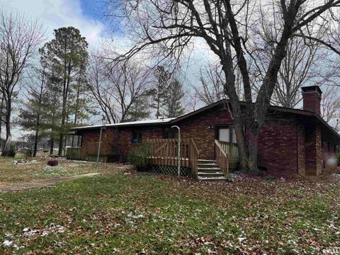 Tiny photo for 421 COOK Avenue, Jonesboro, IL 62952 (MLS # EB460715)