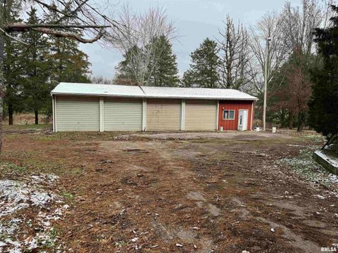 Tiny photo for 421 COOK Avenue, Jonesboro, IL 62952 (MLS # EB460715)