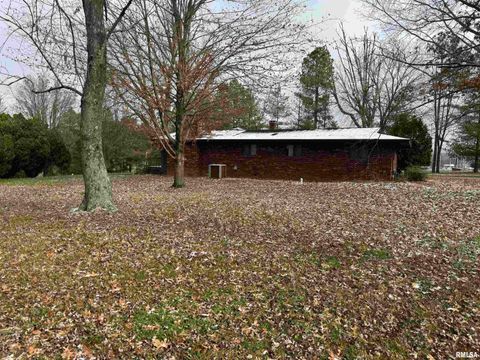 Tiny photo for 421 COOK Avenue, Jonesboro, IL 62952 (MLS # EB460715)