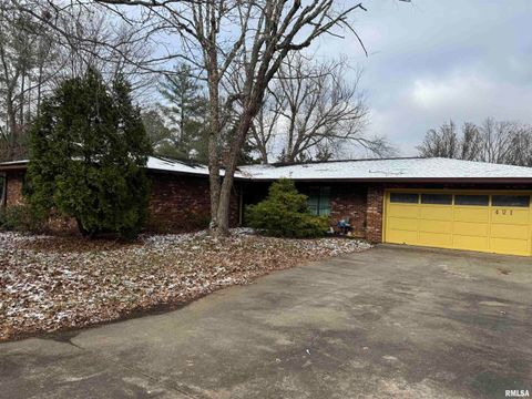 Tiny photo for 421 COOK Avenue, Jonesboro, IL 62952 (MLS # EB460715)