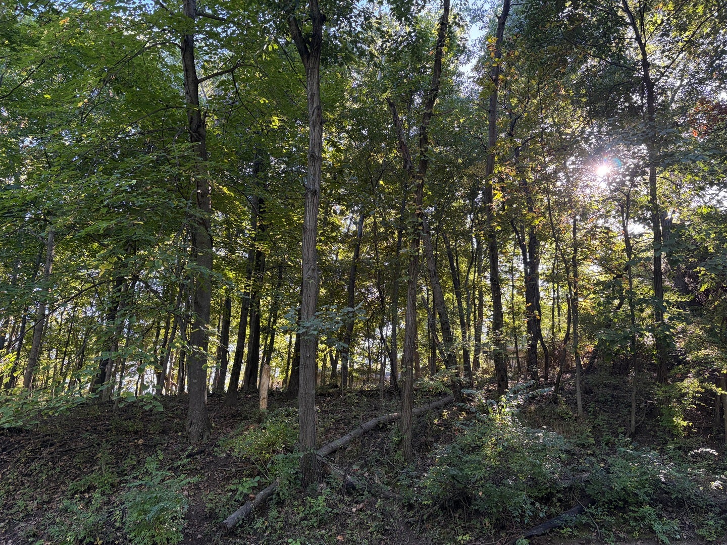 1549 Lake Wildwood Drive