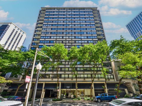 33 E Cedar Street 17G Chicago IL 60611