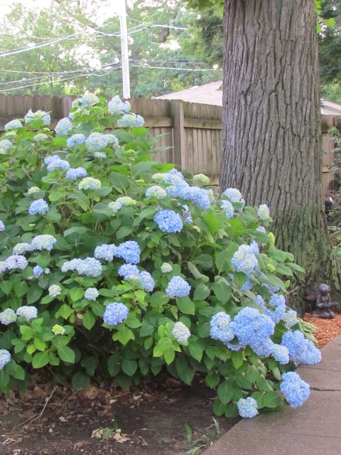 Tiny photo for 10218 S Prospect Avenue, Chicago, IL 60643 (MLS # 12612209)