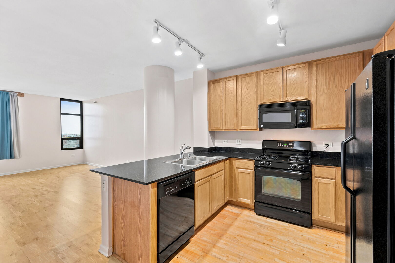 1255 S State Street 1514