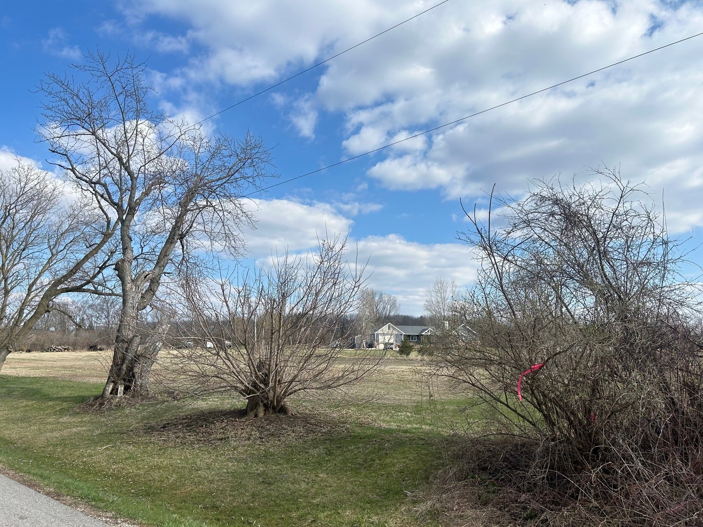 Lot 17 & 18 Harding Avenue