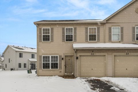 Photo of 313 Waubonsee Drive, Plano, IL 60545 (MLS # 12526575)