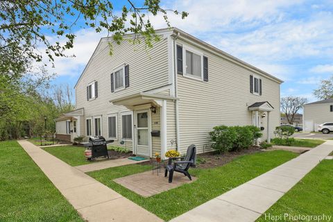 1196 COVE Drive 151C Prospect Heights IL 60070