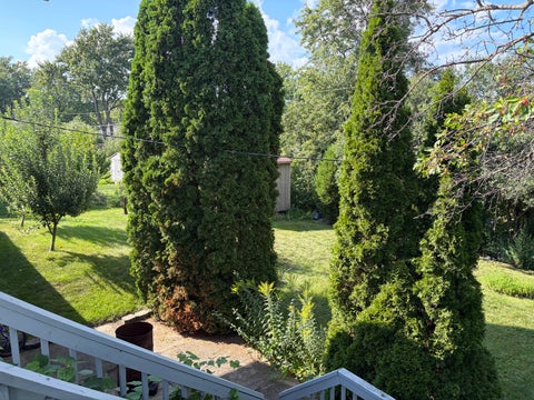 Tiny photo for 570 JAMISON Lane, Hoffman Estates, IL 60169 (MLS # 12745282)