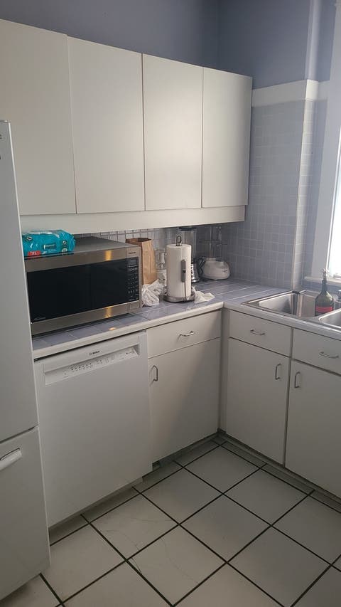 Tiny photo for 7350 S Michigan Avenue, Chicago, IL 60619 (MLS # 12740320)