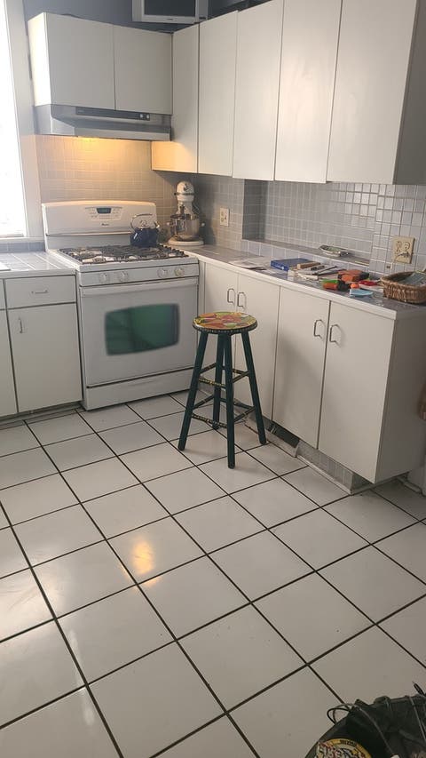 Tiny photo for 7350 S Michigan Avenue, Chicago, IL 60619 (MLS # 12740320)