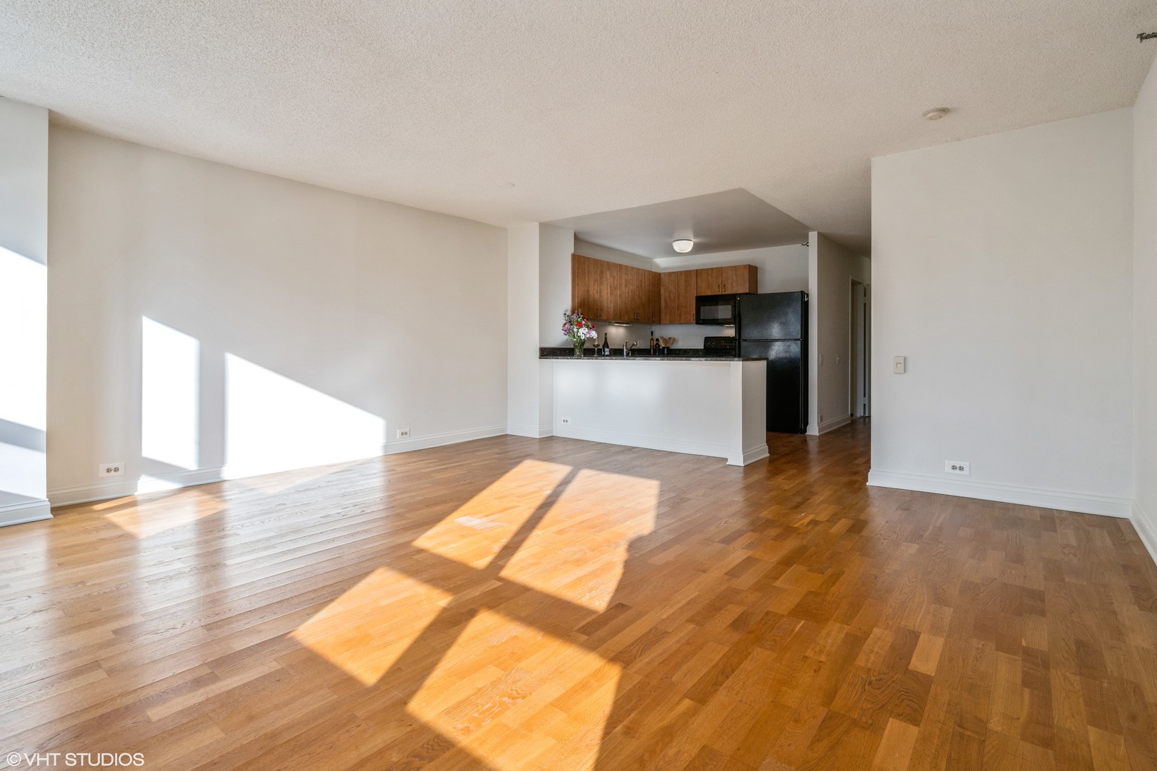 474 N Lake Shore Drive 2007