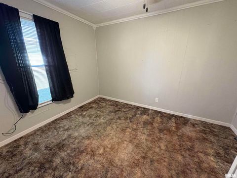 Tiny photo for 403 Wortby Street, Odin, IL 62870 (MLS # EB460710)