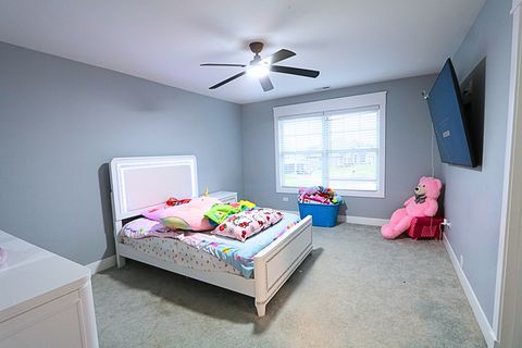 Tiny photo for Frankfort, IL 60423 (MLS # 12631355)