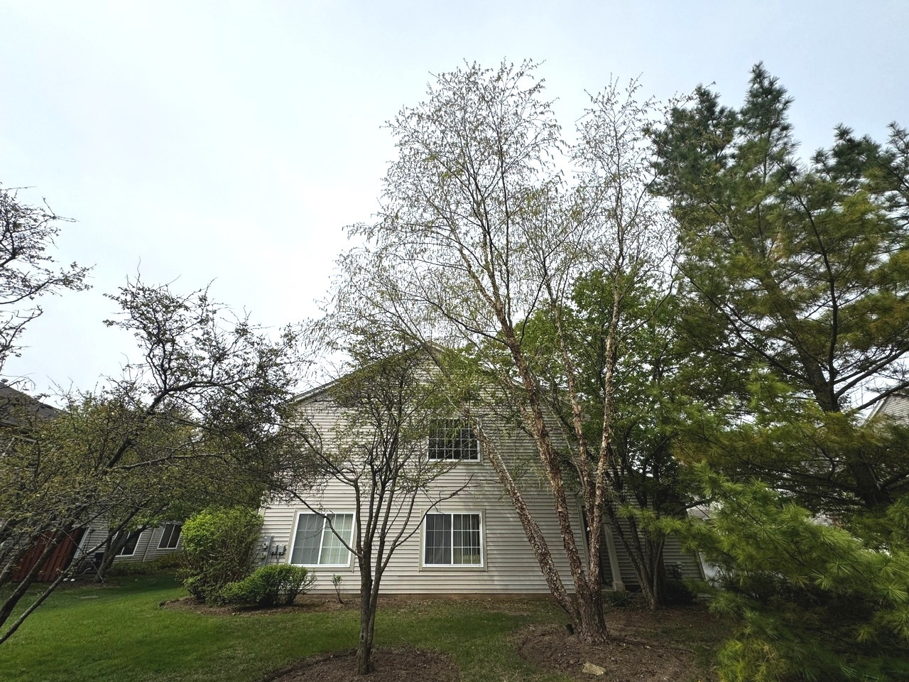 3512 Blue Ridge Court
